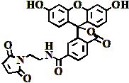 6-羧基荧光素马来酰亚胺